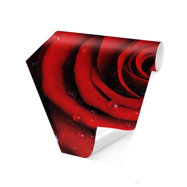 Papel pintado hexagonal Red Rose With Water Drops