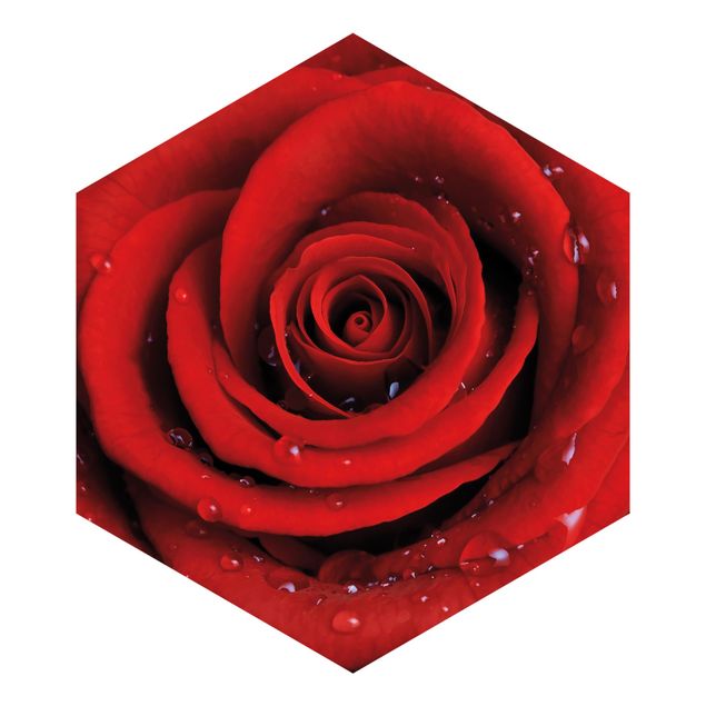 Papel pintado marrón Red Rose With Water Drops