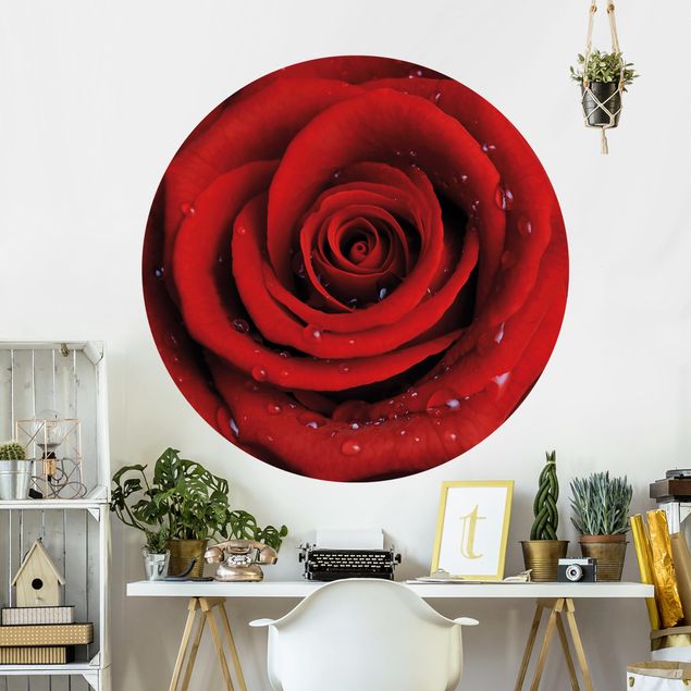 Papel pintado rosas Red Rose With Water Drops