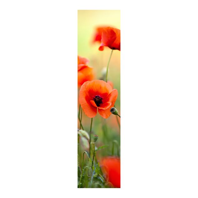 Paneles japoneses flores Red Summer Poppy