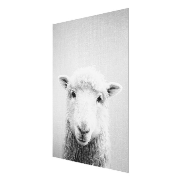 Cuadros de Gal Design Sheep Steffi Black And White
