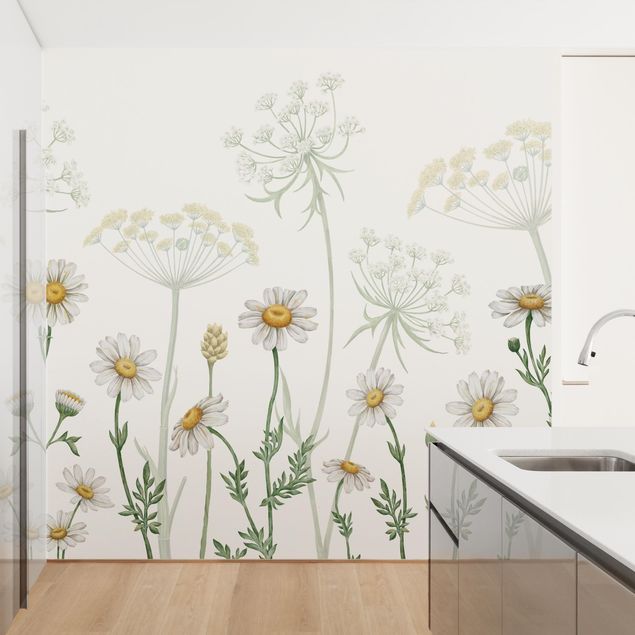 Papel de pared blanco Achillea and daisy