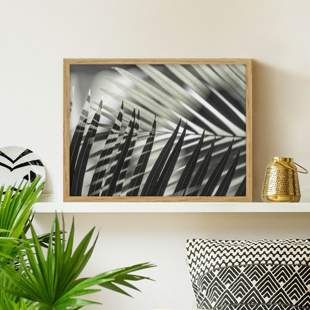Decoración cocina Interplay Of Shaddow And Light On Palm Fronds
