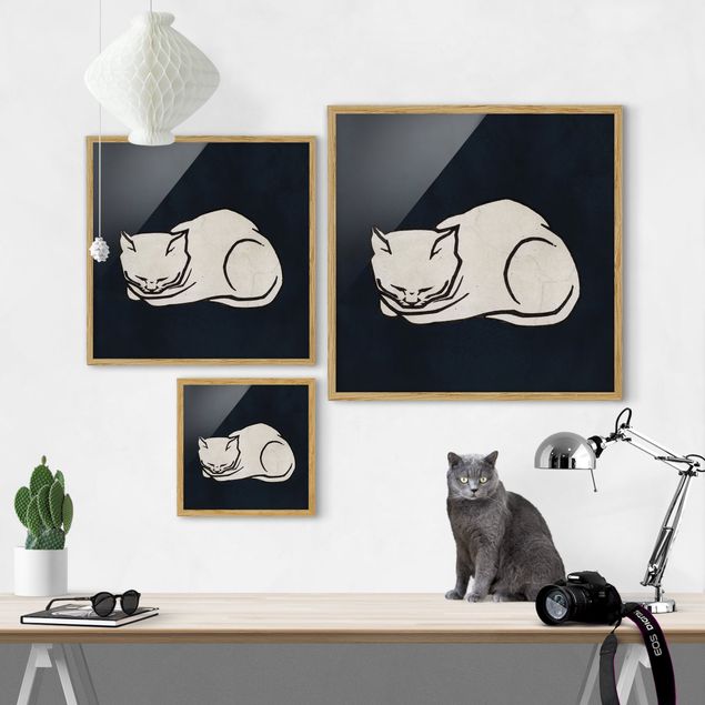 Reproducciónes de cuadros Sleeping Cat Illustration