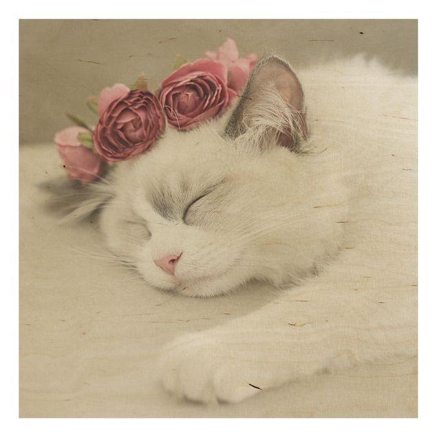 Cuadros de madera flores Sleeping Cat with Roses