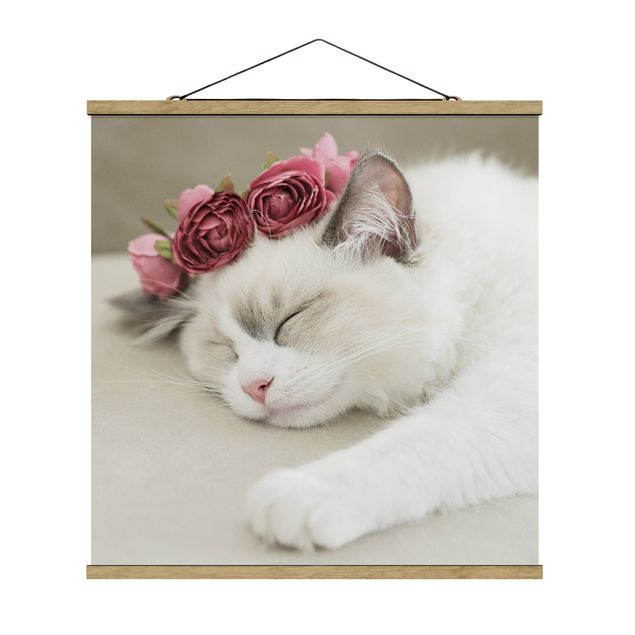 Cuadros de flores modernos Sleeping Cat with Roses