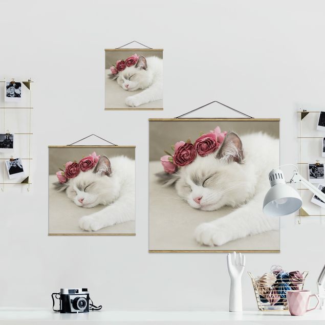 Cuadros de Monika Strigel Sleeping Cat with Roses