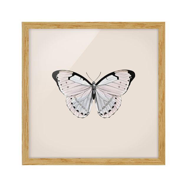 Cuadros modernos y elegantes Butterfly On Beige