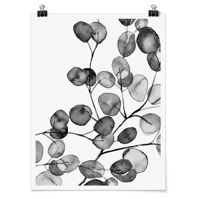 Cuadros plantas Black And White Eucalyptus Twig Watercolour