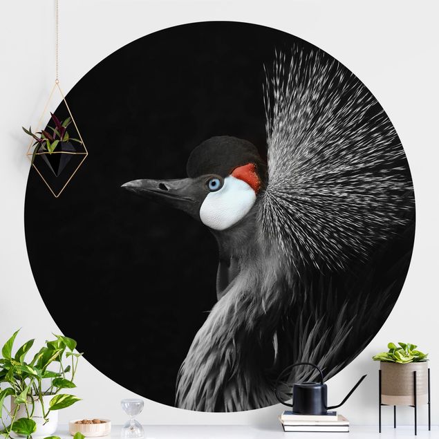 Decoración cocina Black Crowned Crane