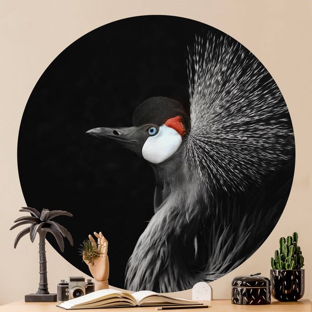 Papel pintado aves Black Crowned Crane
