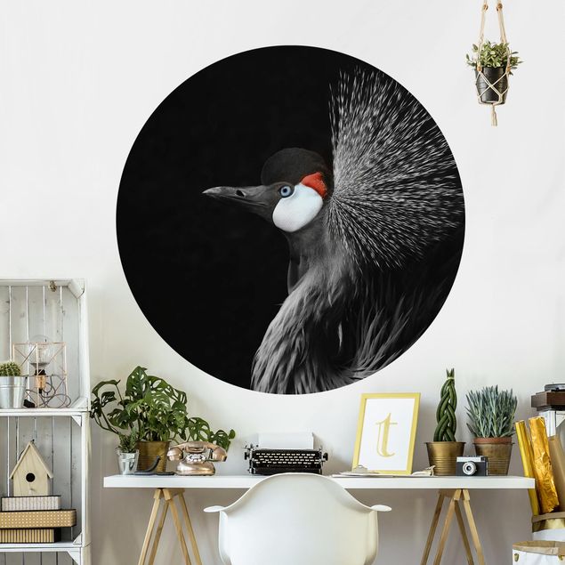 Papeles pintados modernos Black Crowned Crane