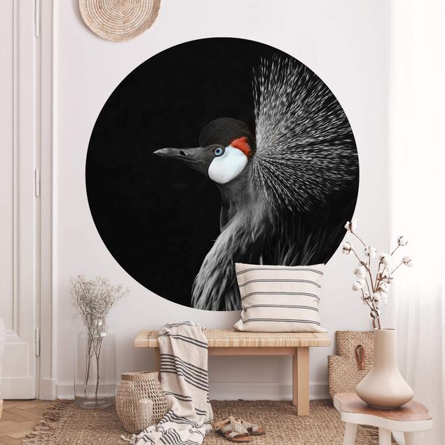 Papel pared animales Black Crowned Crane