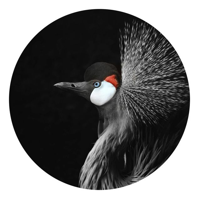 Cuadros de Monika Strigel Black Crowned Crane