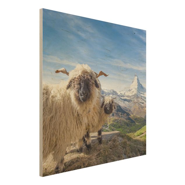 Decoración en la cocina Blacknose Sheep Of Zermatt