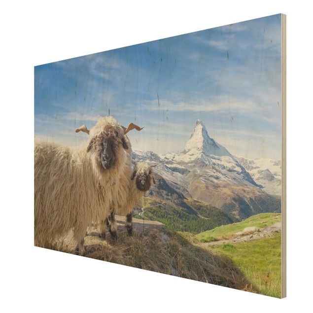 Cuadros modernos Blacknose Sheep Of Zermatt
