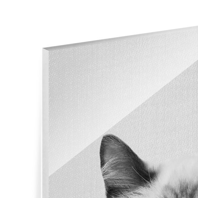 Cuadros de Gal Design Siamese Cat Sibylle Black And White