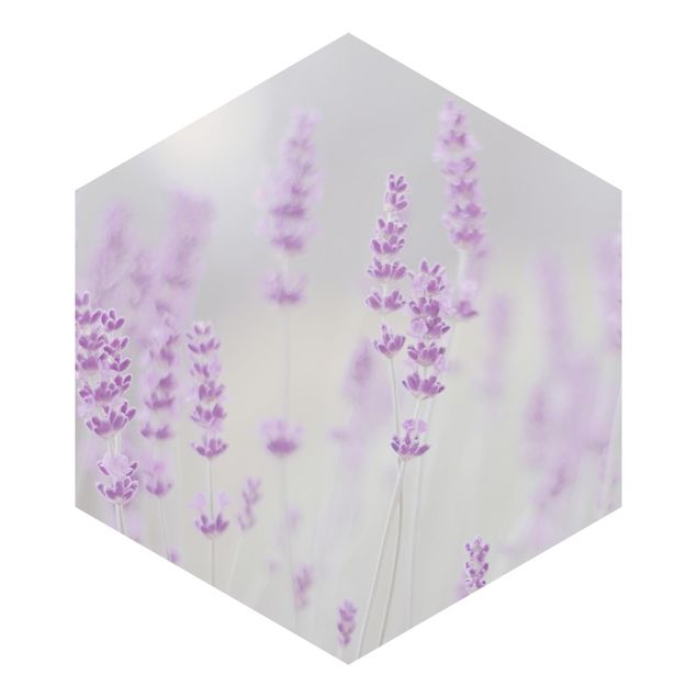 Cuadros de Monika Strigel Summer In A Field Of Lavender