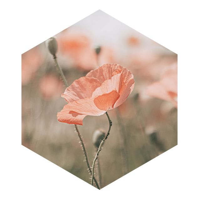 Cuadros de Monika Strigel Sun-Kissed Poppy Fields