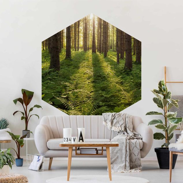 Papel pared paisaje Sun Rays In Green Forest