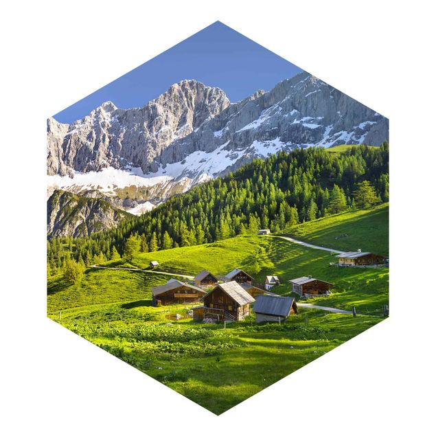 Cuadros Mirau Styria Alpine Meadow