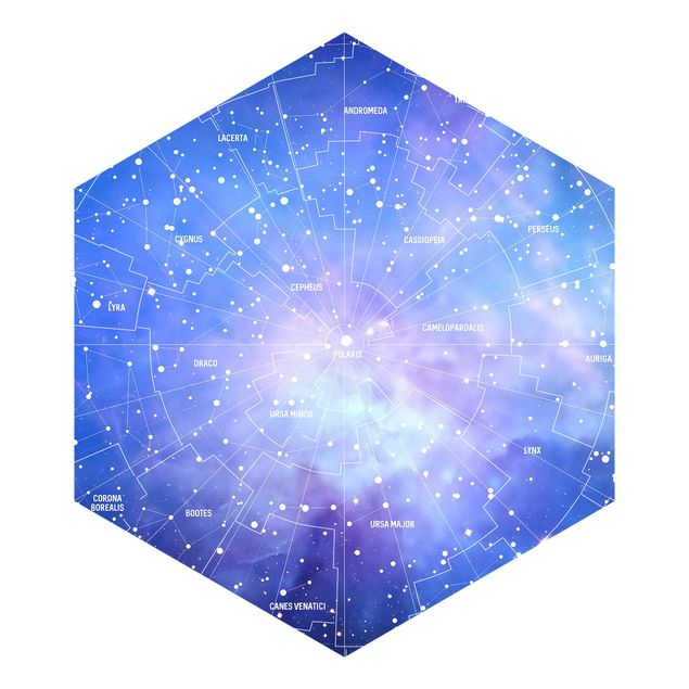 Papel pared gris Stelar Constellation Star Chart