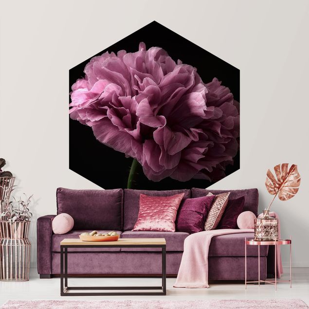 Papel pared flores Proud Peony In Front Of Black