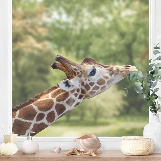 Decoración infantil pared Searching giraffe