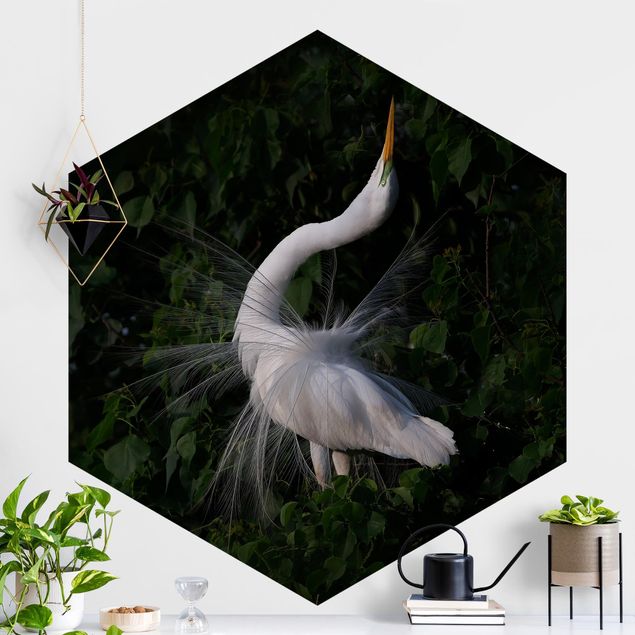 Decoración en la cocina Dancing Egrets In Front Of Black