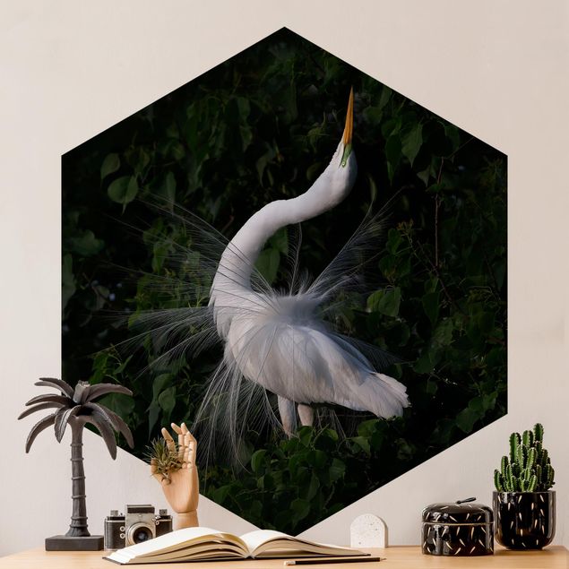 Papel pintado aves Dancing Egrets In Front Of Black
