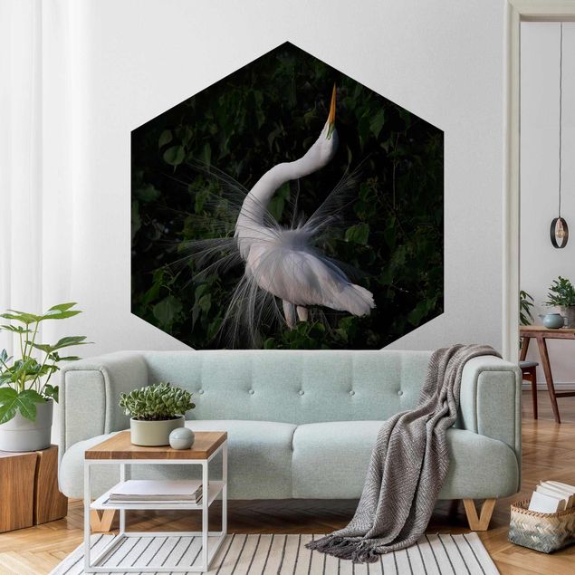 Papel pintado salón moderno Dancing Egrets In Front Of Black