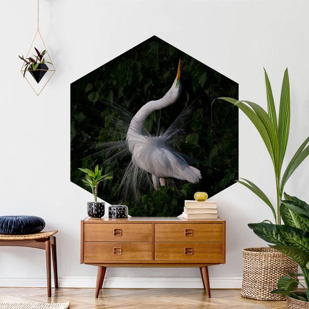 Papel pintado hexagonal Dancing Egrets In Front Of Black