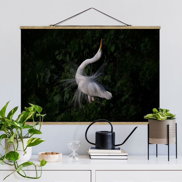 Decoración en la cocina Dancing Egrets In Front Of Black