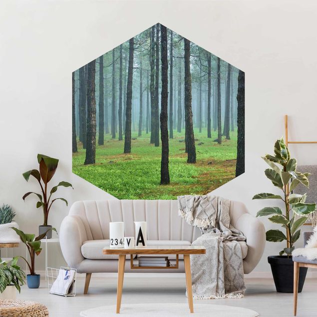 Papel pintado hexagonal Deep Forest With Pine Trees On La Palma