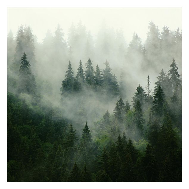 Papel de pared Deep Green Fir Forest In The Fog