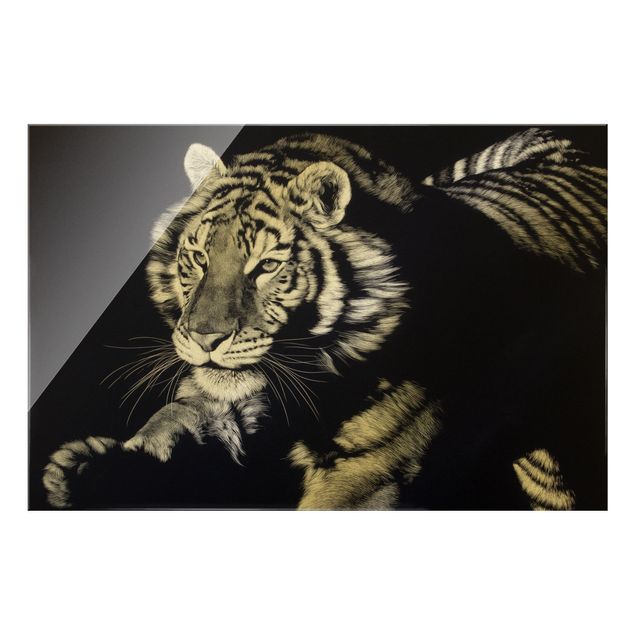 Cuadros decorativos modernos Tiger In The Sunlight On Black