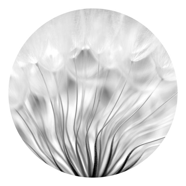 Papel pintado rústico Beautiful Dandelion Black And White