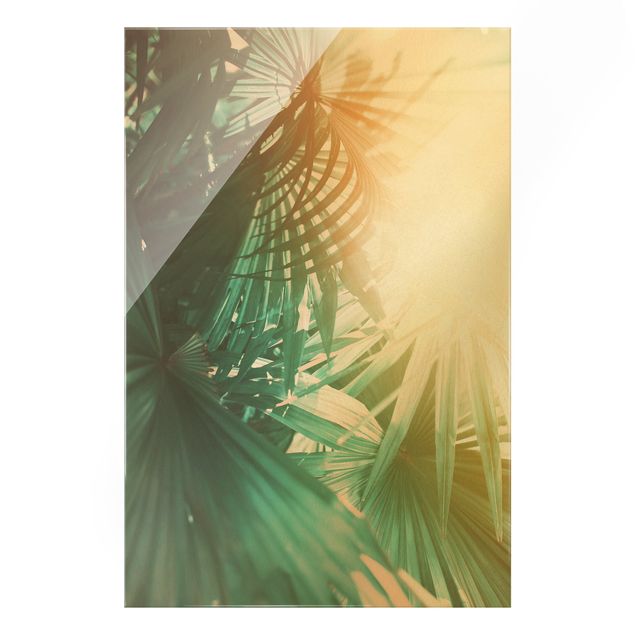 Cuadros de plantas Tropical Plants Palm Trees At Sunset