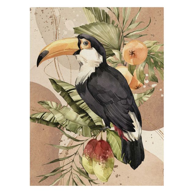 Cuadros Tropical Birds - Toucan