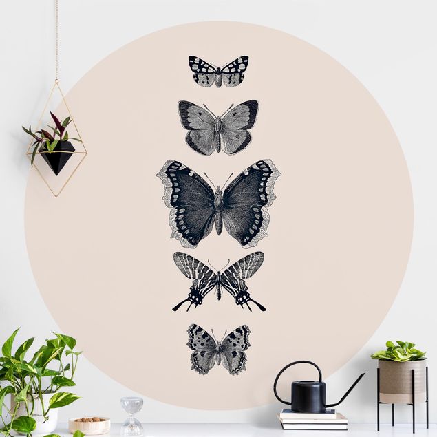 Decoración cocina Ink Butterflies On Beige Backdrop
