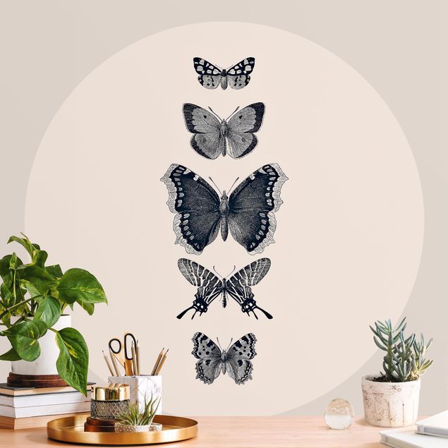 Papel pintado de mariposas Ink Butterflies On Beige Backdrop