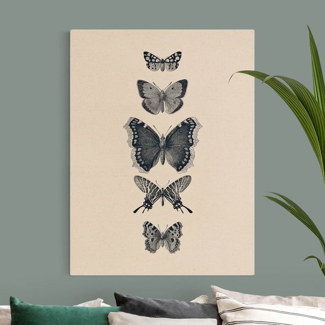 Lienzos de mariposas Ink Butterflies On Beige Backdrop