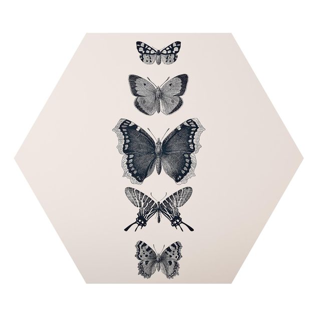 Cuadros grises Ink Butterflies On Beige Backdrop