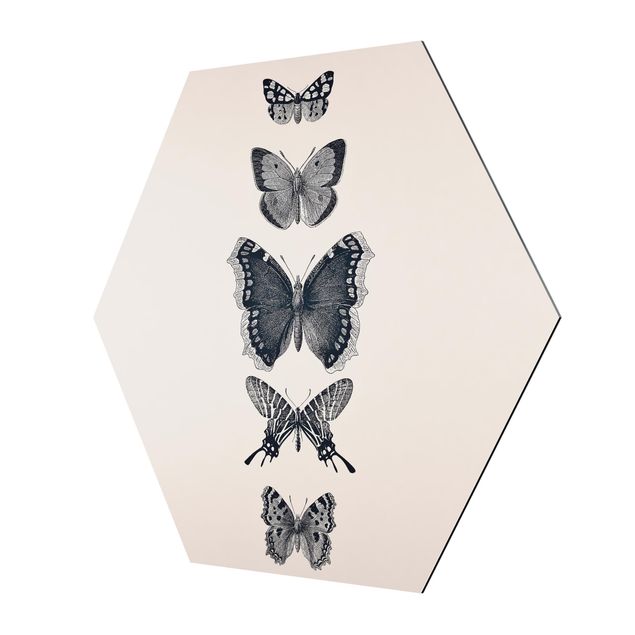 Cuadros de Monika Strigel Ink Butterflies On Beige Backdrop