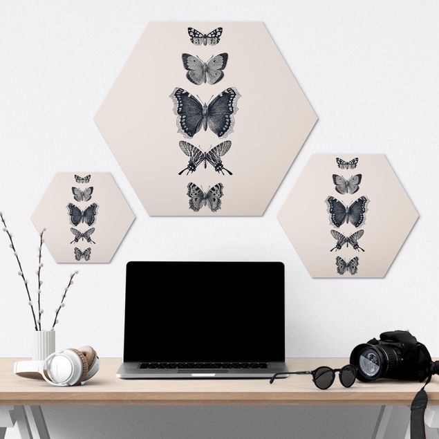Cuadros aluminio Ink Butterflies On Beige Backdrop