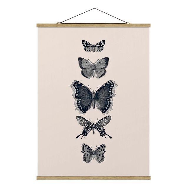 Cuadros animales Ink Butterflies On Beige Backdrop