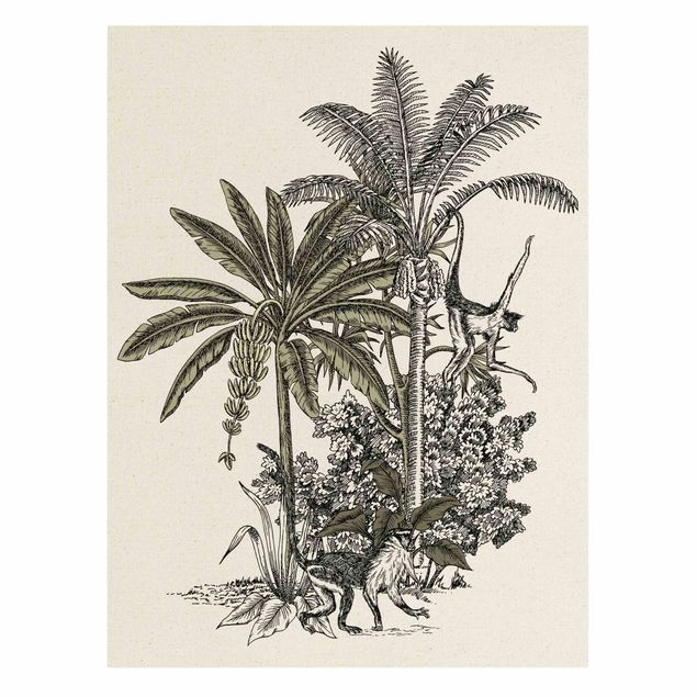 Cuadros de plantas Vintage Illustration - Monkeys  And Palm Trees