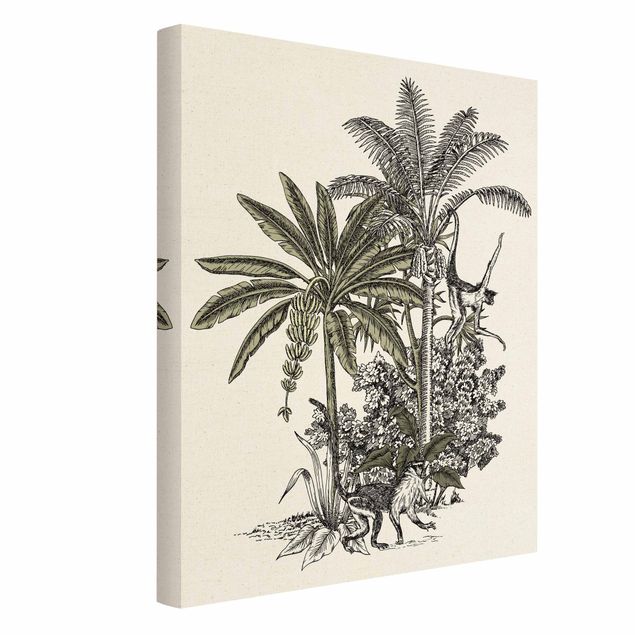 Cuadros flores Vintage Illustration - Monkeys  And Palm Trees