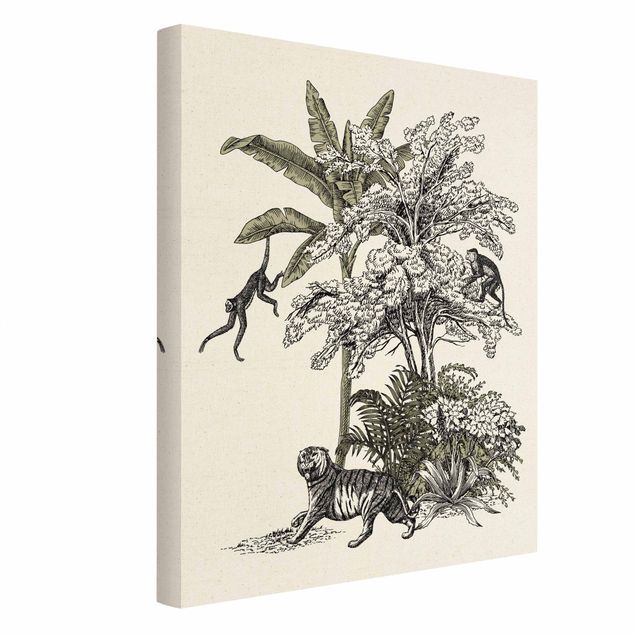 Cuadros de plantas naturales Vintage Illustration - Climbing Monkeys