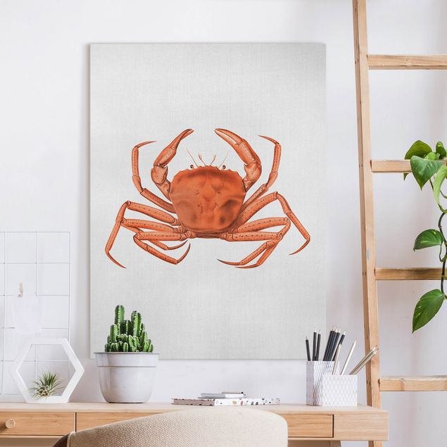 Lienzos de peces Vintage Illustration Red Crab